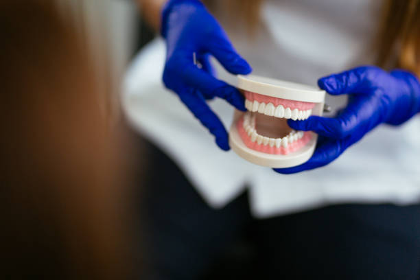 Professional  Holistic Dental Services in Aberdeen, MS